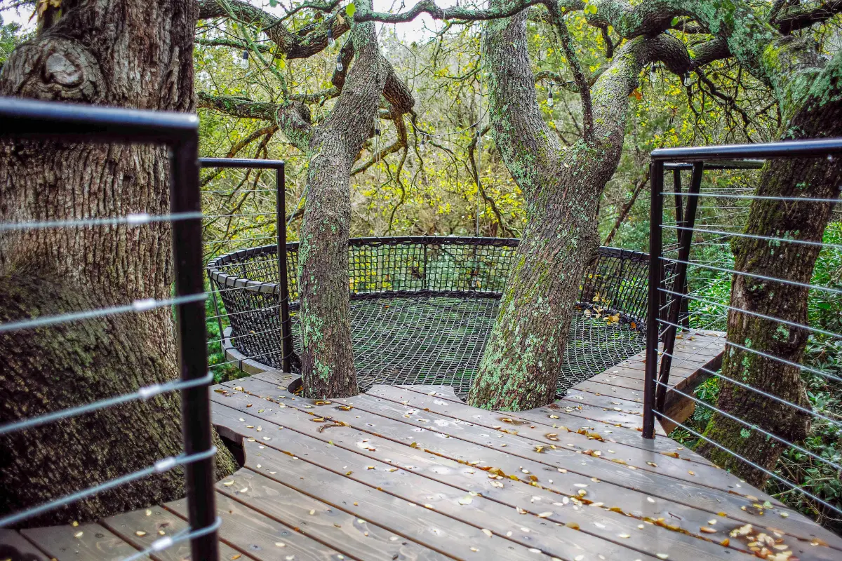Gibbs Hollow — image 4