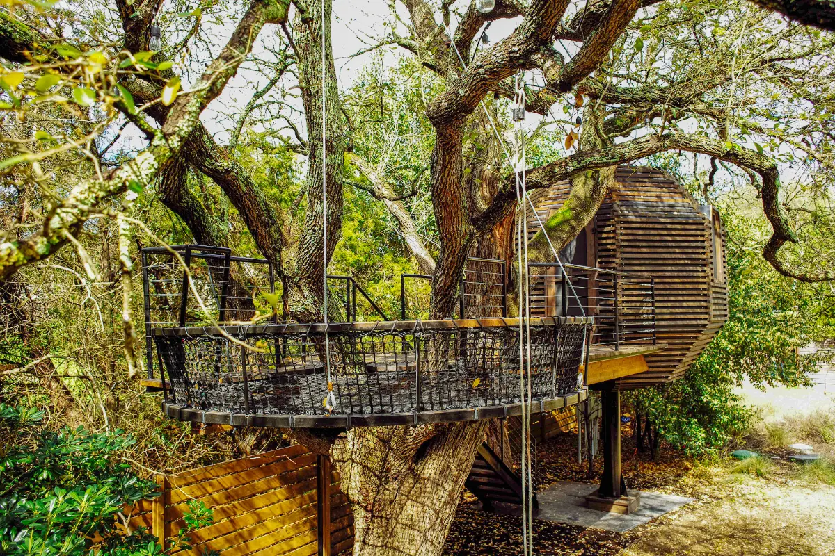 Gibbs Hollow — image 5