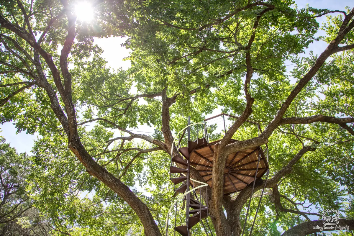Jeff’s Nest — photograph 1