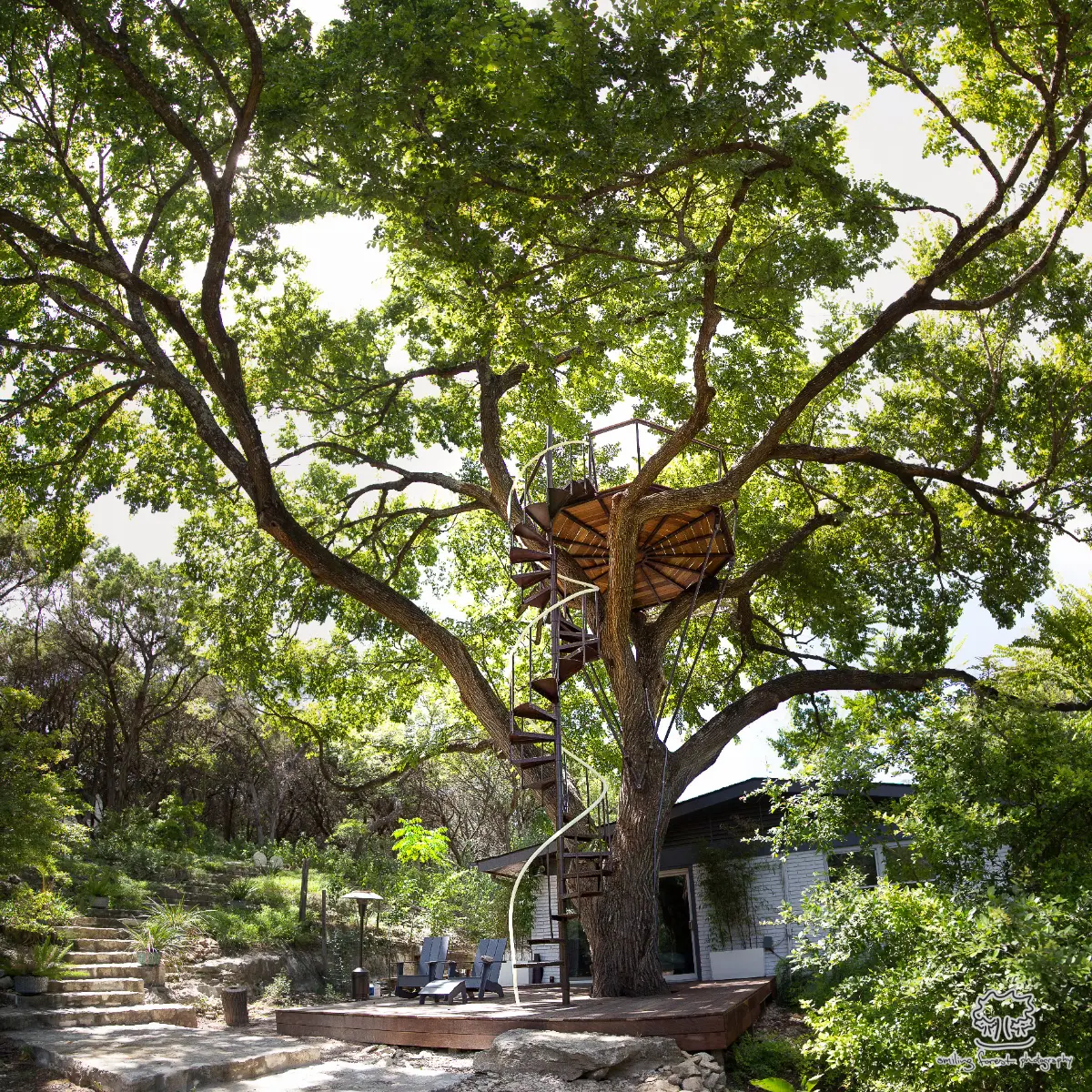 Jeff’s Nest — image 2