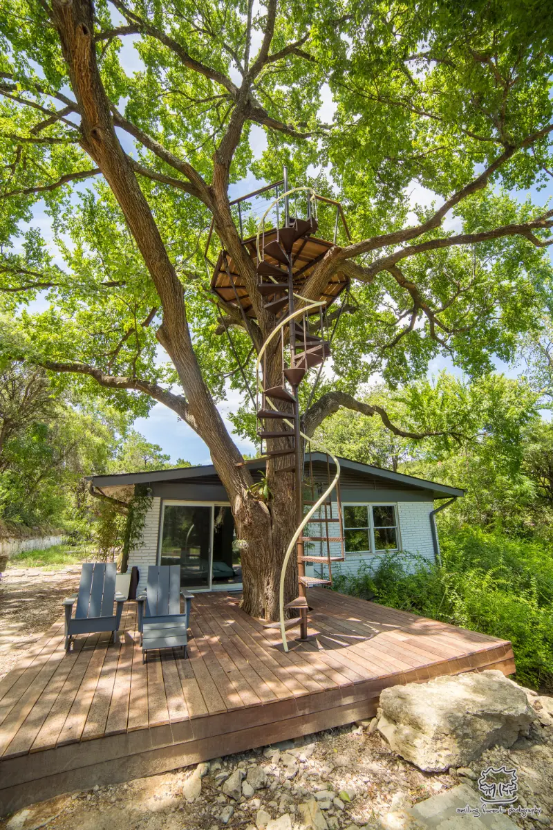 Jeff’s Nest — image 3