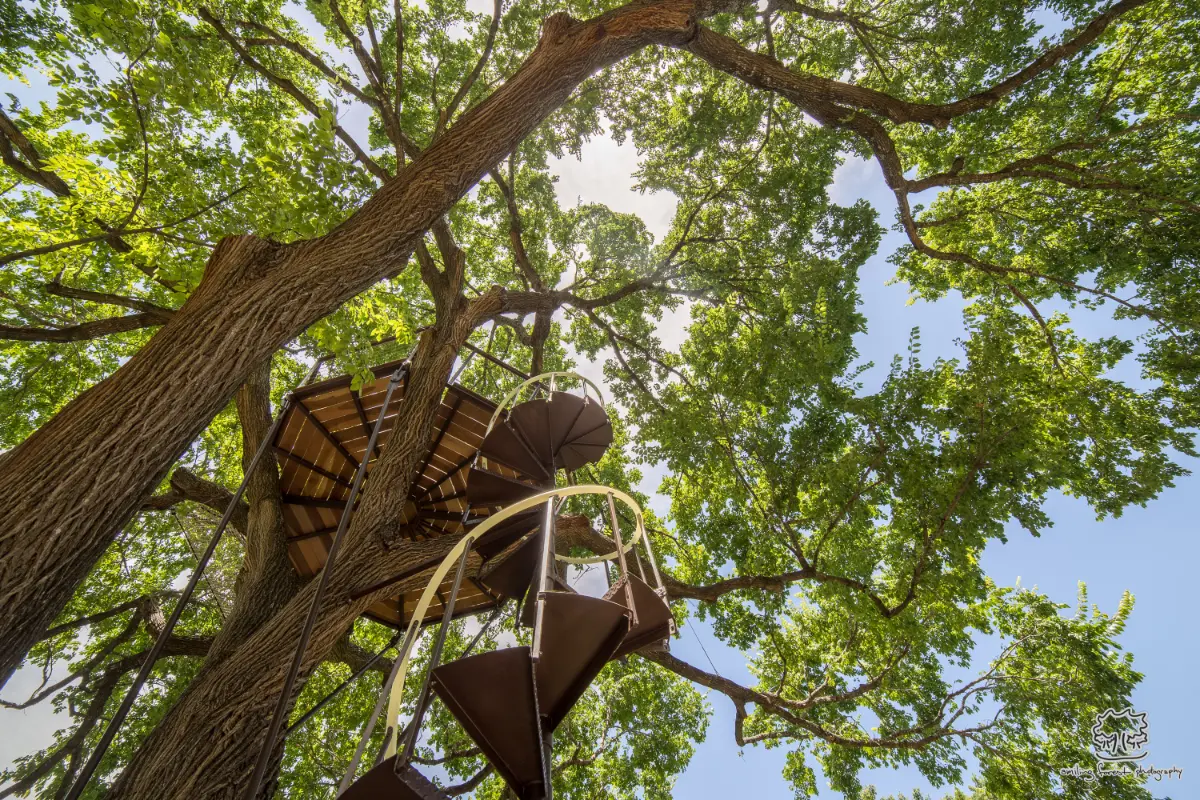 Jeff’s Nest — image 4