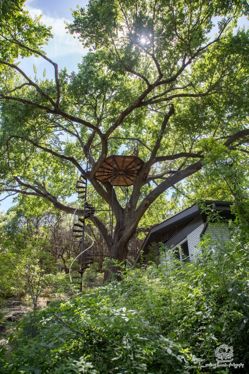 Jeff’s Nest — image 5