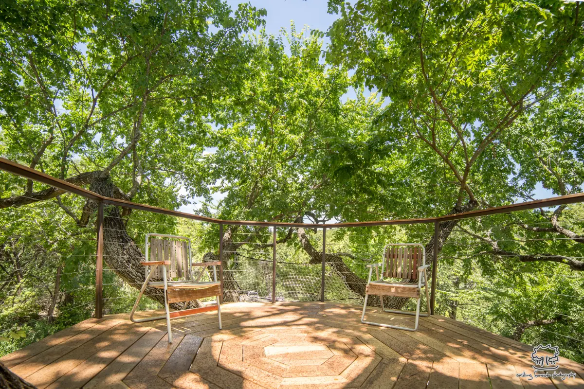 Jeff’s Nest — image 7