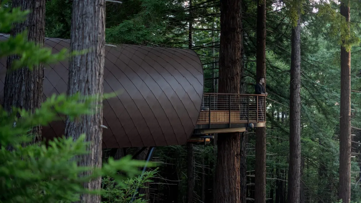 Spyglass (Hometree) — photograph 1