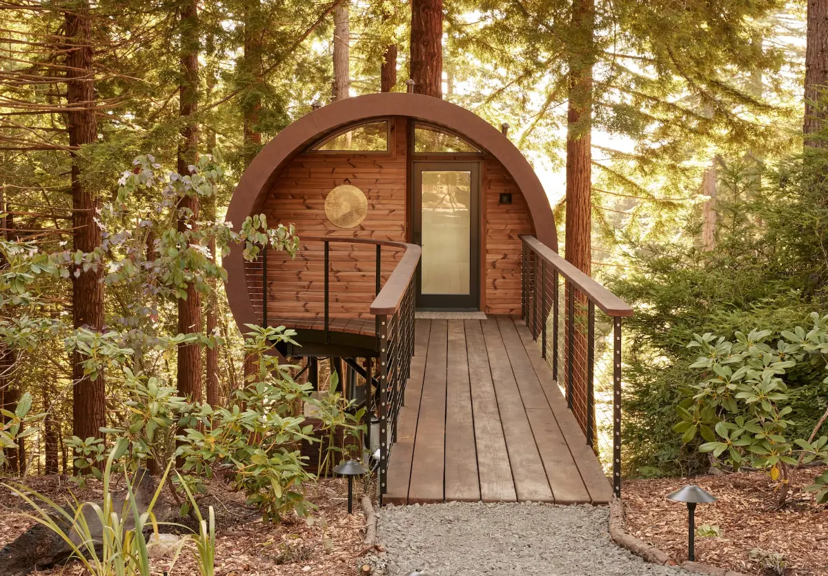 Spyglass (Hometree) — image 2