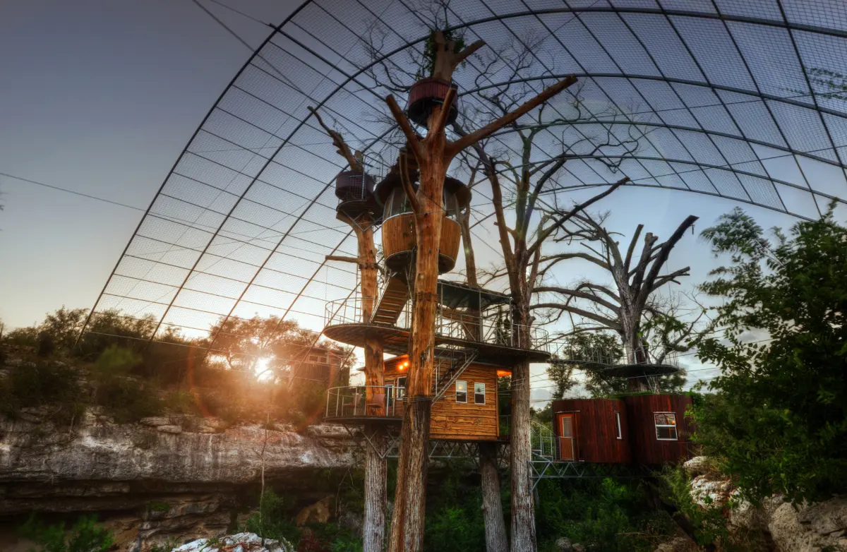 The Nest — photograph 1