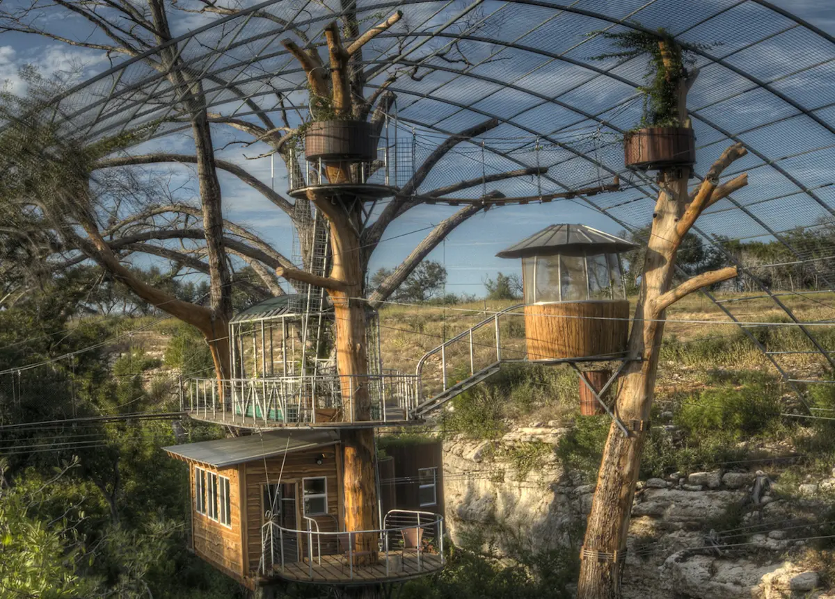 The Nest — image 2