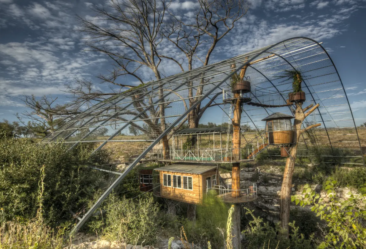 The Nest — image 4