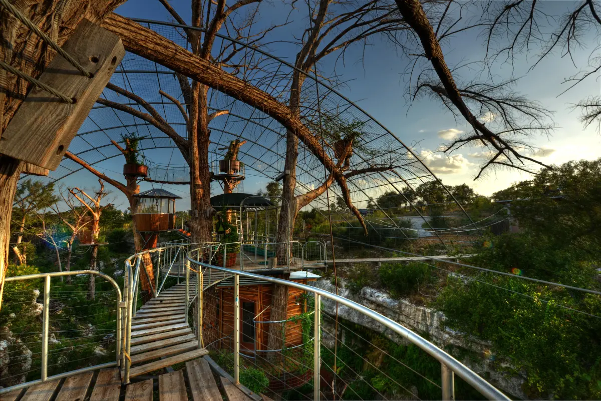 The Nest — image 5