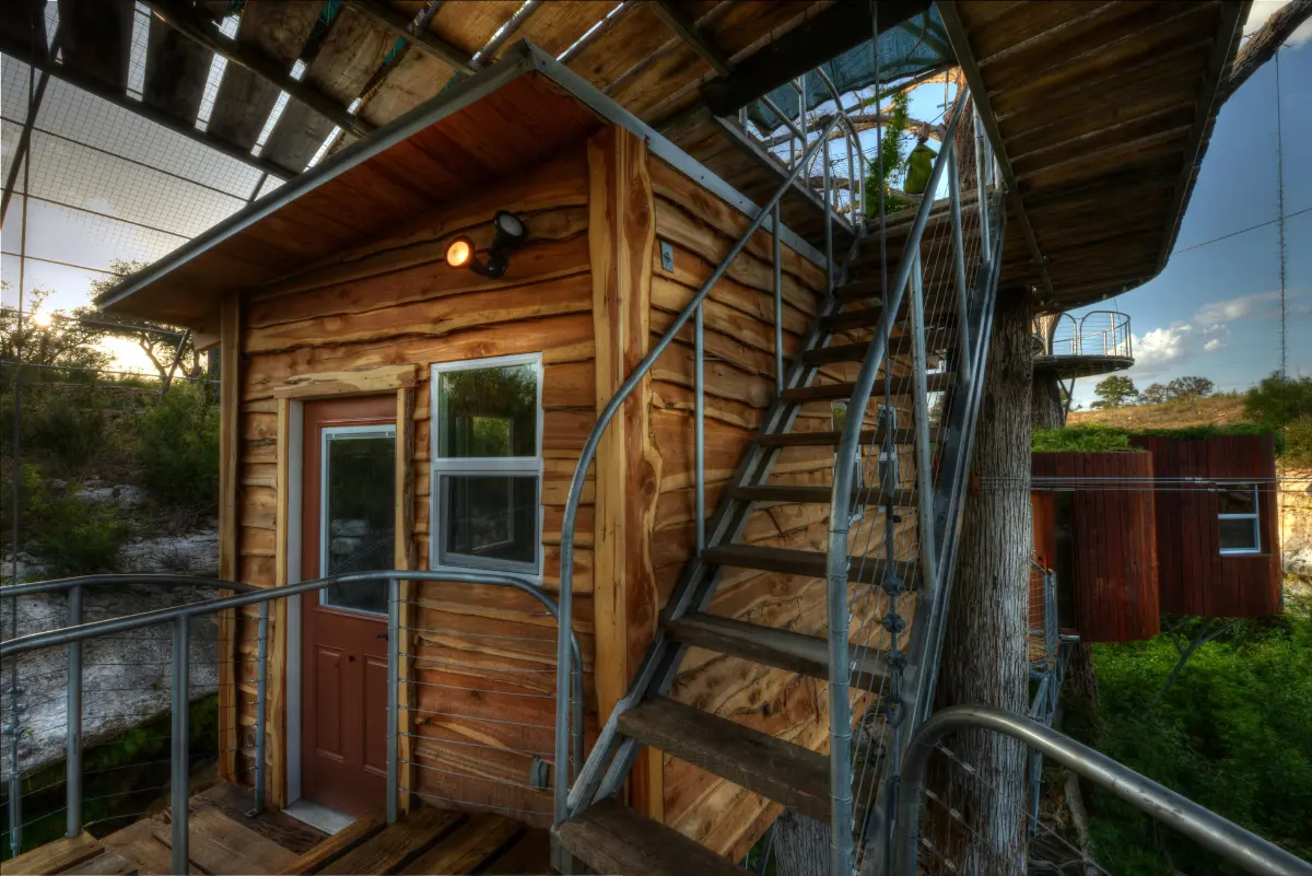 The Nest — image 6