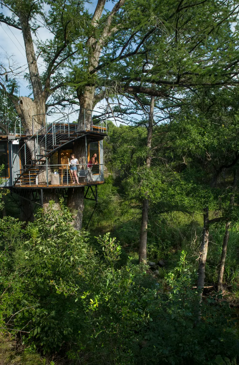 Yoki Treehouse — image 3
