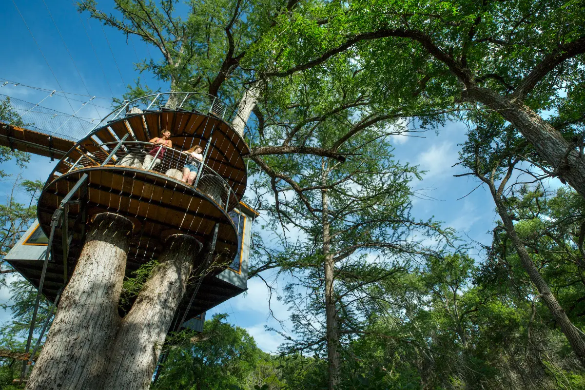 Yoki Treehouse — image 4