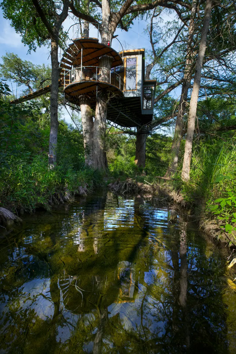 Yoki Treehouse — image 5