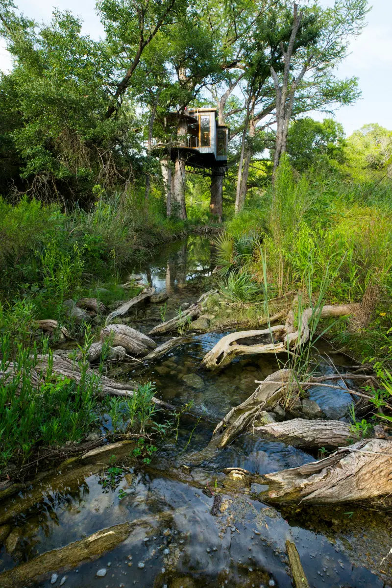 Yoki Treehouse — image 6