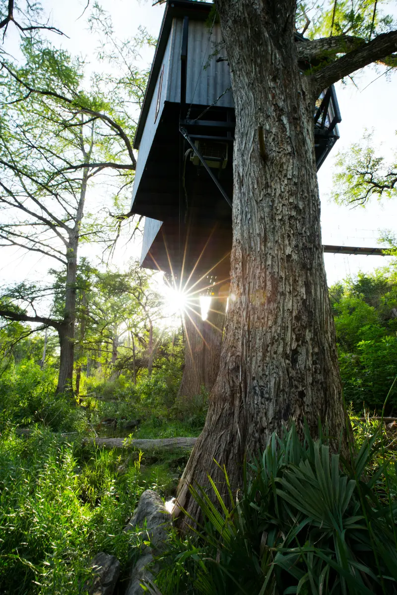 Yoki Treehouse — image 7
