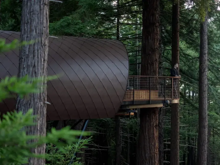 A dark barrel-vaulted treehouse reached by a steel walkway in a redwood grove, a person standing at the rail