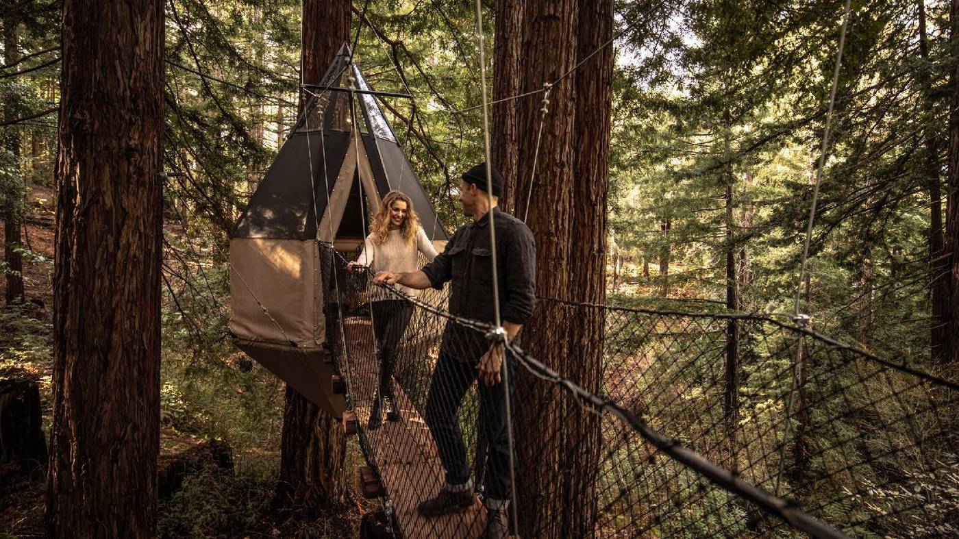 A rope suspension bridge strung between redwoods, high above the forest floor