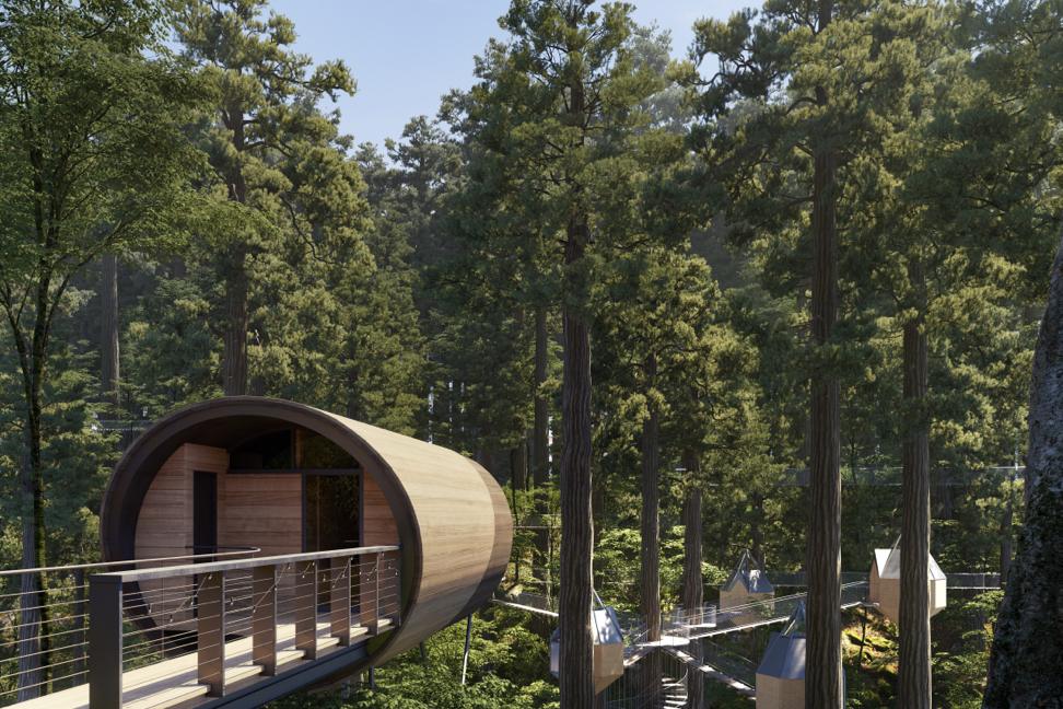 A rounded copper-clad treehouse pod on stilts in a hardwood forest, reached by a walkway