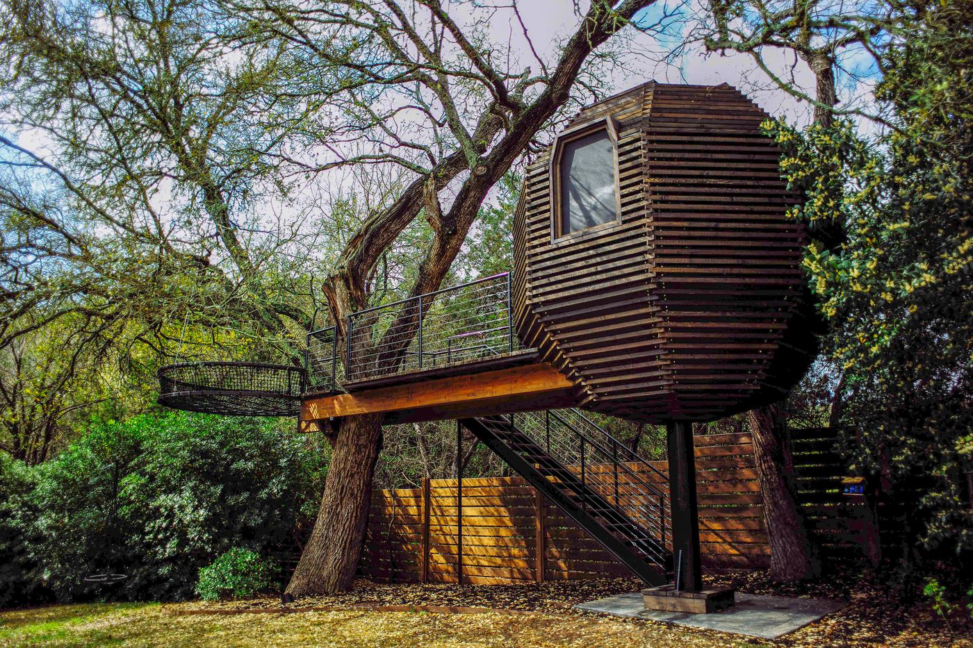 An angular dark-timber cabin built around a live oak and carried on a single steel column