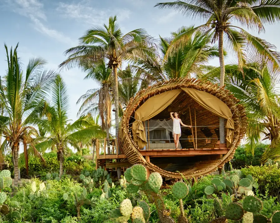 A round woven treehouse suite raised on stilts among palms and cactus, a guest on the deck