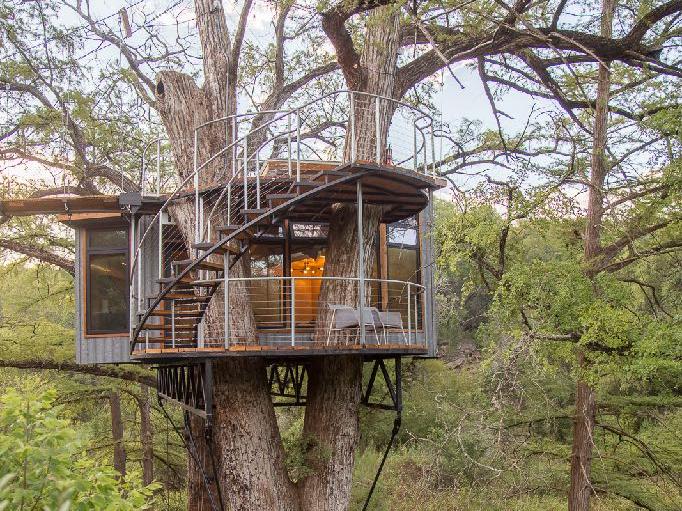 A steel-and-glass treehouse with a spiral stair, built around a large oak